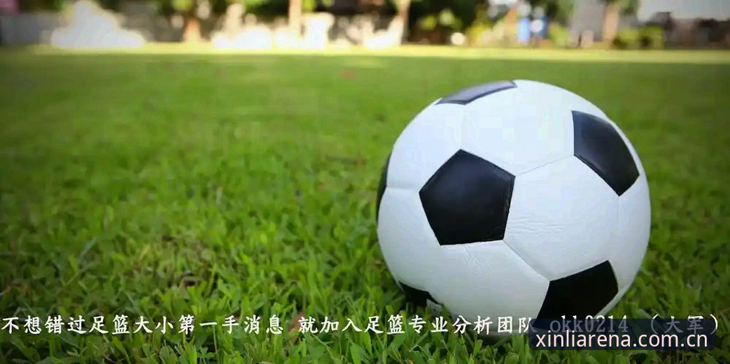 新利体育登录入口攻略 新利体育官网入口 vs 第三方渠道:哪种登录方式更值得信赖?全面对比分析