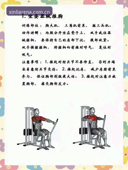 新利体育好用吗功能详解：从新手到高手的完整使用指南